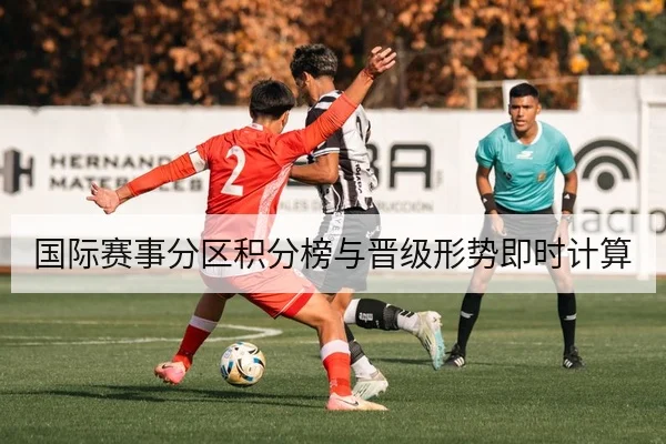国际赛事分区积分榜与晋级形势即时计算